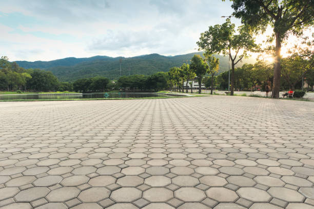 Best Professional Driveway Pavers  in Richardson, TX